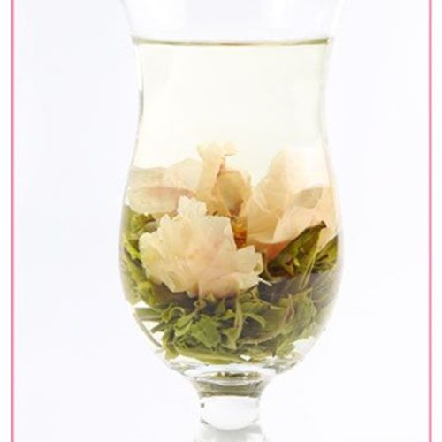 exquisite beauty 500x500 exquisite beauty 500x500